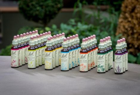 Ateliers Fleurs de Bach et naturopahtie Ateliers Fleurs de Bach et naturopahtie