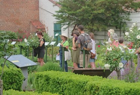 Visite jardin « La manne céleste à portée de main », le 30 septembre Visite jardin « La manne céleste à portée de main », le 30 septembre
