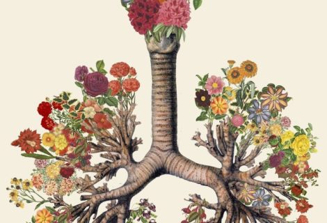 Conférence « Approche de l’asthme en médecine traditionnelle » le 15/07 à 17h Conférence « Approche de l’asthme en médecine traditionnelle » le 15/07 à 17h