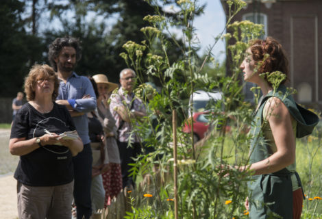 Nos animations ‘jardin’ en 2020 Nos animations ‘jardin’ en 2020
