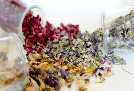 Atelier : introduction à la naturopathie le 12 septembre à 14h30 Atelier : introduction à la naturopathie le 12 septembre à 14h30