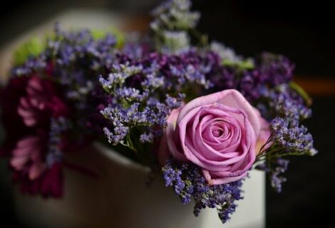 Samedi 21 et dimanche 22 août à 14 : les fleurs de beauté et de santé. PROMO LAST MINUTE Samedi 21 et dimanche 22 août à 14 : les fleurs de beauté et de santé. PROMO LAST MINUTE