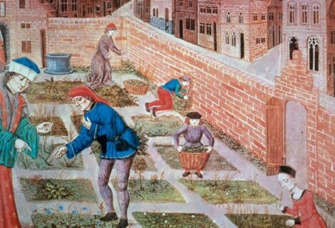 Quand Charlemagne s’invite au jardin des simples, 29/05 Quand Charlemagne s’invite au jardin des simples, 29/05