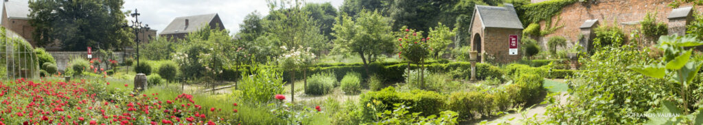 Support the Museum Hospital Notre-Dame à la Rose medicinal garden